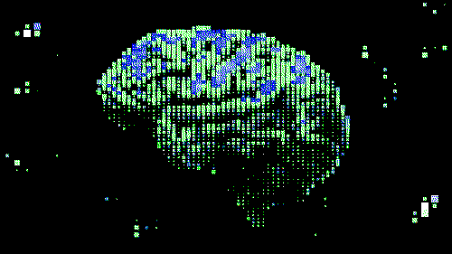 Digital brain